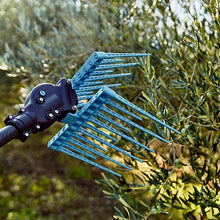 Carica l'immagine nel visualizzatore di Gallery, abbacchiatore per olive elettrico a batteria campagnola modello utilizzo