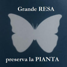 Carica l'immagine nel visualizzatore di Gallery, abbacchiatore olive pneumatico diablo evo campagnola potente veloce grande resa