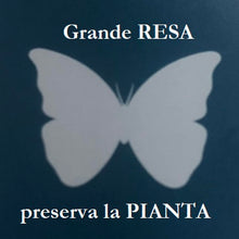 Carica l'immagine nel visualizzatore di Gallery, abbacchiatore pneumatico tuono campagnola potente veloce grande resa