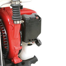 Carica l'immagine nel visualizzatore di Gallery, ATOMIZZATORE A SCOPPIO SPALLEGGIATO 2T LT14 LE87427-14