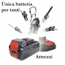 Carica l'immagine nel visualizzatore di Gallery, batteria carica batteria dunsch lea