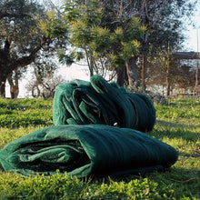 Carica l'immagine nel visualizzatore di Gallery, nr 2 telo rete antispina antistrappo per raccolta olive mt 6x12 totale 12x12 rete telo 92g mq tipo pugliese tipo scuotitore