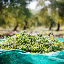 Carica l'immagine nel visualizzatore di Gallery, rete raccolta olive antistrappo antispina con occhielli