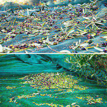 Carica l'immagine nel visualizzatore di Gallery, rete raccolta olive antistrappo antispina con occhielli