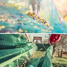 Carica l'immagine nel visualizzatore di Gallery, rete raccolta olive occhiellata antistrappo antispina resistente al trascinamento