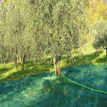 Carica l'immagine nel visualizzatore di Gallery, telo rete mt 12x12 raccolta olive antistrappo antispina con occhielli con spacco centrale