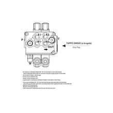 Carica l'immagine nel visualizzatore di Gallery, Distributore Walvoil modello SD5 da 3/8" a 2 leve 1ª semplice effetto 2ª doppio effetto con ritorno a molla, 40 litri. Con predisposizione per il carry over
