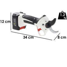 Carica l&#39;immagine nel visualizzatore di Gallery, forbice castellari elettrica a batteria al litio ryno 63

